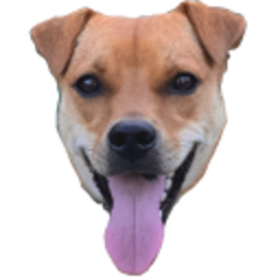 Bruce — dog emoji for Slack & Discord (Discord)
