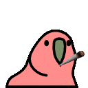 Blunt Parrot — cartoon emoji for Slack & Discord