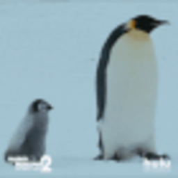 Following — animal emoji for Slack & Discord (Discord)