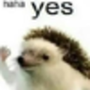 Haha Yes — hedgehog emoji for Slack & Discord