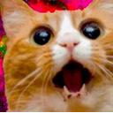Space Cat 2 — cat emoji for Slack & Discord
