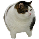 Chonk — cat emoji for Slack & Discord