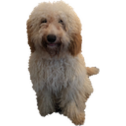 Tomsdog — dog emoji for Slack & Discord (Discord)