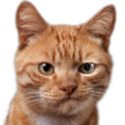 Cat Smirk — cat emoji for Slack & Discord (Discord)