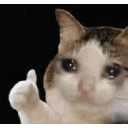 Crycatok — cat emoji for Slack & Discord