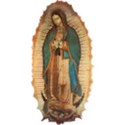 La Guadalupana — symbol emoji for Slack & Discord (Discord)