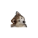 Dog Cute — dog emoji for Slack & Discord