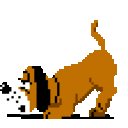 Dog Sniff — dog emoji for Slack & Discord