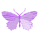 3broxa — animal emoji for Slack & Discord