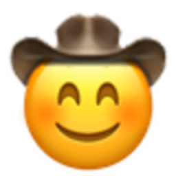 Blushing Cowboy — cartoon emoji for Slack & Discord (Discord)