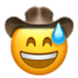 Sweat Smile Cowboy — sweat emoji for Slack & Discord (Discord)
