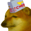 Cheems Hat — dog emoji for Slack & Discord