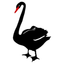Blackswan — blackswan emoji for Slack & Discord (Slack)