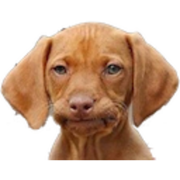 Disappointed Dog — dog emoji for Slack & Discord (Discord)