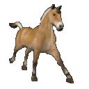 Horse Gallop — animal emoji for Slack & Discord