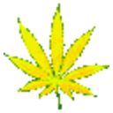 Raindbow Weed — plant emoji for Slack & Discord