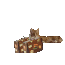 Headoutcat — cat emoji for Slack & Discord
