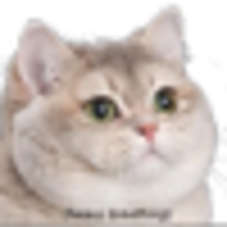 Heavybreathing — cat emoji for Slack & Discord (Discord)