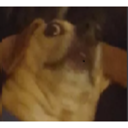 Woahthere — dog emoji for Slack & Discord (Discord)