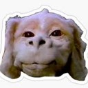 Falkor — cartoon emoji for Slack & Discord