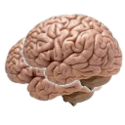 Brains — brain emoji for Slack & Discord (Discord)
