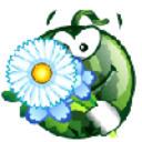 Watermelon Flower — cartoon emoji for Slack & Discord