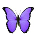 Purerehua — butterfly emoji for Slack & Discord