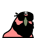 Biker Parrot — bird emoji for Slack & Discord