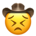 Persevere Cowboy — emotion emoji for Slack & Discord