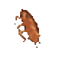 Roach98 — animated emoji for Slack & Discord
