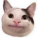 Polite Cat — cat emoji for Slack & Discord