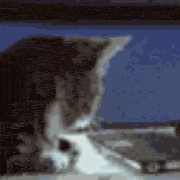 Catsurprise — cat emoji for Slack & Discord (Discord)