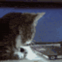 Catsurprise — cat emoji for Slack & Discord