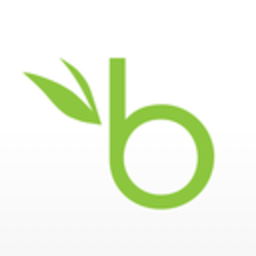Bamboohr — logo emoji for Slack & Discord (Discord)