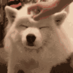 Samoyed Pets — dog emoji for Slack & Discord (Discord)