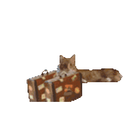 Headoutcat — cat emoji for Slack & Discord (Discord)