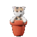 Kitty Pot — cartoon emoji for Slack & Discord