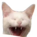 Joao — cat emoji for Slack & Discord