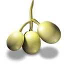Grapes 3 — grape emoji for Slack & Discord