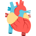 Heart Anatomical — heart emoji for Slack & Discord