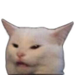 Confused Cat 3 — cartoon emoji for Slack & Discord (Discord)