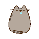 Pusheendrool — cartoon emoji for Slack & Discord