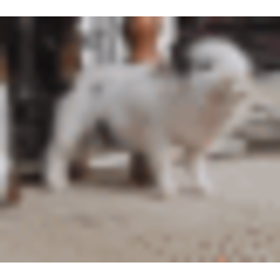 Twerkingpig — dog emoji for Slack & Discord (Discord)