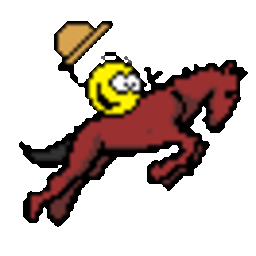 Rodeo — rodeo emoji for Slack & Discord (Discord)