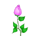 Flower 3 — flower emoji for Slack & Discord