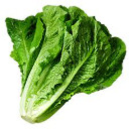 Romaine — lettuce emoji for Slack & Discord (Discord)