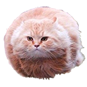 Hoverkitty 2 — cat emoji for Slack & Discord