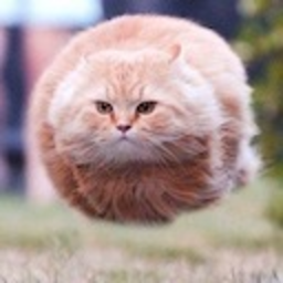 Hoverkitty — cat emoji for Slack & Discord (Discord)