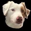 Vinnie — dog emoji for Slack & Discord