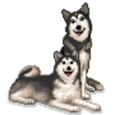 Huskies — cartoon emoji for Slack & Discord